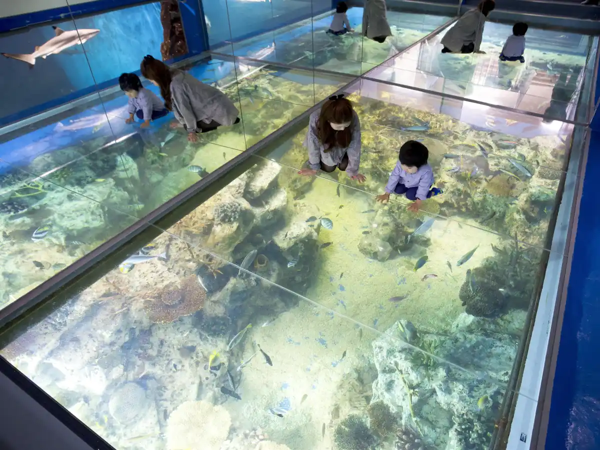 越前松島水族館
