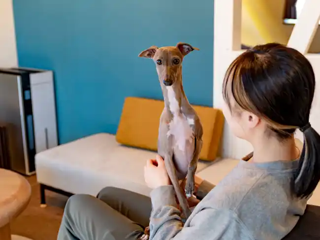 愛犬と過ごせるリビング